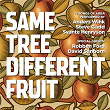 Same Tree Different Fruit (12 Songs Of Abba) | Anders Wihk