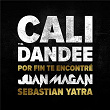 Por Fin Te Encontré | Cali Y El Dandee