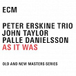 As It Was | Peter Erskine