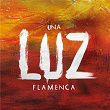 Una Luz Flamenca | Carmen Linares