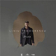 Târziu | Liviu Teodorescu
