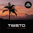 Summer Nights | Tiësto