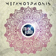 Metamorphosis | Frank Huber