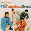 The Best Of The American Breed | The American Breed