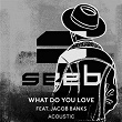 What Do You Love (Acoustic) | Seeb