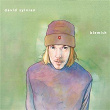 Blemish | David Sylvian