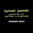 Summer Bummer (Snakehips Remix) | Lana Del Rey
