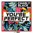 You're Perfect | Charly Black