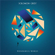 Wonderful World | Solomon Grey