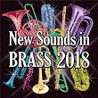 New Sounds In Brass 2018 | Tokyo Kosei Wind Orchestra
