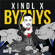 Byznys | Xindl X
