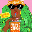 Ginger (Todd Terry Remix) | Riton