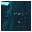 Work It Out (Seakret Remix) | Elekfantz