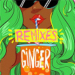 Ginger (Remix Bundle) | Riton