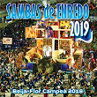 Sambas De Enredo Das Escolas De Samba 2019 | Neguinho Da Beija-flor