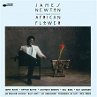 The African Flower (The Music Of Duke Ellington & Billy Strayhorn) | James Newton