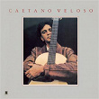 Caetano Veloso | Caetano Veloso