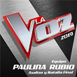 La Voz 2019 - Equipo Paulina Rubio - Asaltos Y Batalla Final (En Directo En La Voz / 2019) | Andrés Balado