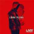 Luna Plina (Manda Remix) | Liviu Teodorescu