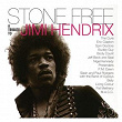 Stone Free: A Tribute to Jimi Hendrix | The Cure