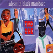 Two Worlds One Heart | Ladysmith Black Mambazo