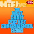 Rhino Hi-Five: The West Coast Pop Art Experimental Band | The West Coast Pop Art Experimental Band