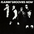 Flamin' Groovies Now | The Flamin' Groovies