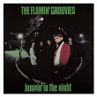 Jumpin' In The Night | The Flamin' Groovies