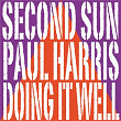 Doing It Well | Second Sun & Paul Harris