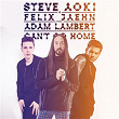 Can't Go Home (Radio Edit) | Steve Aoki & Felix Jaehn