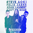 Can't Go Home (Remixes) | Steve Aoki & Felix Jaehn
