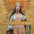 Sacred Songs of Mary Devotion | Trio Mediaeval