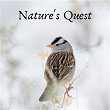 Natures Quest | Sleep Tight, Lush Rain Creators