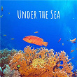 Under the Sea | By The Water, Crafting Audio, Zen Music Garden