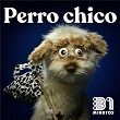 Perro Chico | 31 Minutos