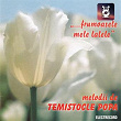 Frumoasele Mele Lalele, Melodii De Temistocle Popa | Luigi Ionescu