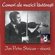 Ion Petre Stoican (Vioara) | Ion Petre Stoican