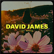 Let Her Go | David James