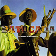 Batucada: The Sound of the Favelas (Mr Bongo presents) | Portinho