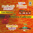 Los Nuevos de Tierra Caliente (feat. SAGITARIO MUSICAL, Severo Benito y Su Banda Cachas De Oro, Martín Solís y Su Grupo Inborrable, Raúl García y Su Grupo Kabíldo, Neyo Reynoso y Su Banda Innovación) | Tierra Cali