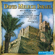 David Melech Israel | Beit Rothschild Singers, Effi Netzer Band