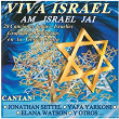 Viva Israel | Jonathan Settel