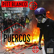 Puercos | Pitt Blanco