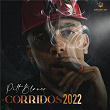 CORRIDOS 2022 | Pitt Blanco