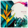 Delta | Maru Jota