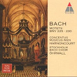Bach, JS : Motets BWV Nos 225 - 230 | Nikolaus Harnoncourt