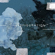 Transfiguration | Jim Perkins