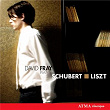 Schubert: Fantasy in C Major, "Wandererfantasie" / Liszt: Transcriptions, Piano Sonata | David Fray