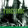 Forestare | Forestare