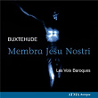 Buxtehude: Membra Jesu nostri, BuxWV 75 | Les Voix Baroques
